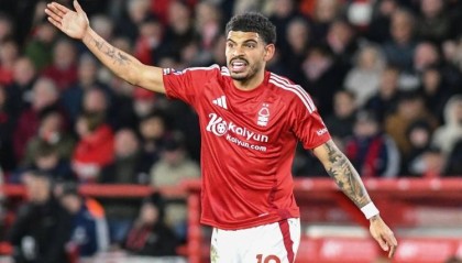 talkSPORT：曼城有意吉布斯-怀特，森林标价1亿英镑