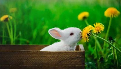 英超争冠和争四形势：利物浦冠军稳了，9队争抢下赛季欧冠名额